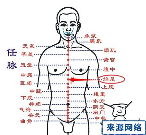 鳩尾穴位置|鳩尾穴:穴位信息,主治疾病,任脈絡穴,別名,名解,氣血特。